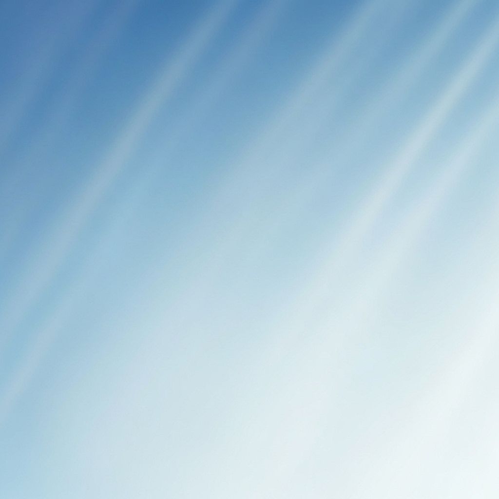 Multi-Branch Management